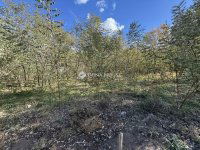 Eladó családi ház, Kecskeméten 37.5 M Ft, 5 szobás