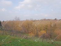 Eladó telek, Zalaegerszegen 4.9 M Ft / költözzbe.hu