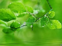 Eladó telek, Nyíregyházán 28 M Ft / költözzbe.hu