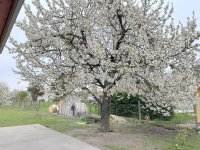 Eladó családi ház, Áporkán 54.99 M Ft, 4 szobás