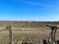 Eladó telek, Csengődön 37.9 M Ft / költözzbe.hu