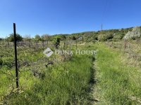 Eladó telek, Várpalotán 5.5 M Ft / költözzbe.hu