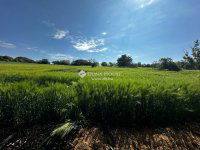 Eladó családi ház, Zicsen 22 M Ft, 4 szobás