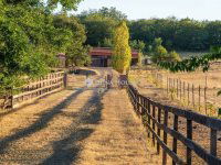 Eladó családi ház, Erdőkertesen 325 M Ft, 5 szobás