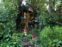 Kiadó családi ház, albérlet, Kecskeméten 800 E Ft / hó