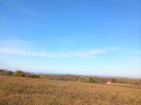 Eladó mezogazdasagi ingatlan