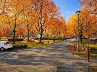 Eladó panellakás, XI. kerületben 52 M Ft, 1 szobás