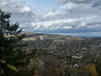 Eladó telek, XII. kerületben 2100 M Ft / költözzbe.hu