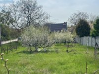 Eladó telek, Budajenőn 75 M Ft / költözzbe.hu