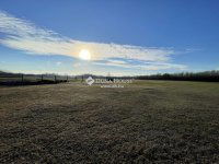 Eladó mezogazdasagi ingatlan