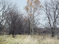 Eladó telek, XVII. kerületben, Kopolya utcában 11.9 M Ft