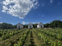 Eladó családi ház, Paloznakon 349 M Ft, 3 szobás