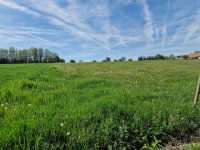 Eladó családi ház, Hegyhátmarócon 79 M Ft, 4 szobás