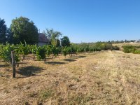 Eladó telek, Balatonkenesén 28 M Ft / költözzbe.hu