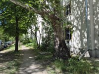 Kiadó téglalakás, albérlet, XIV. kerületben 200 E Ft / hó