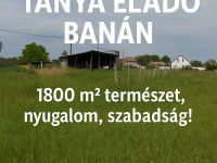 Eladó mezogazdasagi ingatlan, Banán 4.8 M Ft