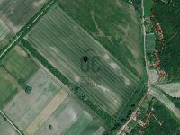 Eladó mezogazdasagi ingatlan, Pilisen 79.5 M Ft