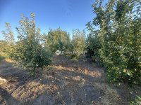 Eladó családi ház, Bugyin 82 M Ft, 5 szobás