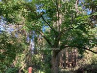 Eladó telek, Gyomaendrődön 13.8 M Ft / költözzbe.hu