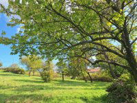 Eladó mezogazdasagi ingatlan