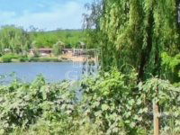 Eladó mezogazdasagi ingatlan, Domonyban 8.9 M Ft