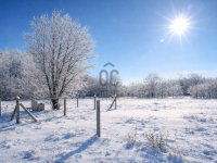 Eladó mezogazdasagi ingatlan