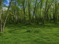 Eladó telek, Veresegyházon 59 M Ft / költözzbe.hu