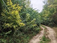 Eladó mezogazdasagi ingatlan, Dabason 10.9 M Ft
