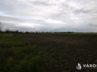 Eladó mezogazdasagi ingatlan, Tótkomlóson 20.6 M Ft