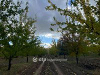 Eladó mezogazdasagi ingatlan, Pomázon 30.8 M Ft