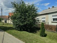 Eladó családi ház, Ácson 22 M Ft, 2 szobás