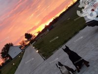 Eladó családi ház, Délegyházán 250 M Ft, 3 szobás