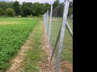 Eladó telek, Siófokon 16.9 M Ft / költözzbe.hu