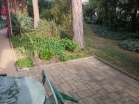 Eladó családi ház, Pécsett, Tiborc utcában 165 M Ft, 8 szobás