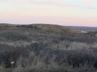 Eladó telek, Várpalotán 150 M Ft / költözzbe.hu