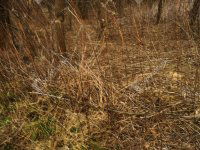 Eladó telek, Nagykapornakon 3.4 M Ft / költözzbe.hu