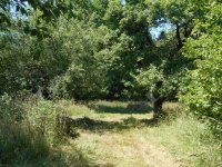 Eladó családi ház, Hegyhátszentjakabon 28 M Ft, 2 szobás