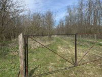 Eladó mezogazdasagi ingatlan, Tényőn 57 M Ft