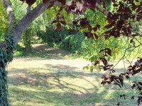 Eladó telek, Siófokon 39 M Ft / költözzbe.hu