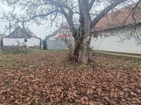 Eladó családi ház, Berettyóújfaluban 19.5 M Ft, 2 szobás