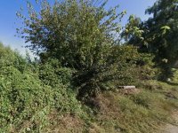 Eladó telek, Nyíregyházán 10 M Ft / költözzbe.hu