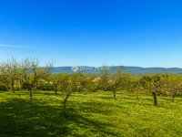 Eladó telek, Vácon, Présház utcában 25.5 M Ft