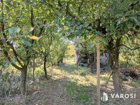 Eladó mezogazdasagi ingatlan, Békéscsabán 2.999 M Ft