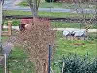 Eladó nyaraló, Balatonberényben 47.5 M Ft, 3 szobás