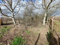 Eladó mezogazdasagi ingatlan