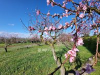 Eladó telek, Siófokon 127 M Ft / költözzbe.hu