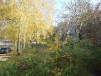 Kiadó panellakás, albérlet