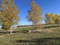 Eladó telek, Mezőörsön 16.5 M Ft / költözzbe.hu