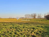 Eladó családi ház, Egerágon 159 M Ft, 5 szobás