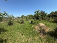Eladó mezogazdasagi ingatlan, Balatonfüreden 1.5 M Ft